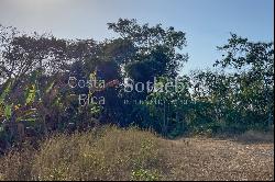 Special Opportunity Lot for Sale in Santa Teresa