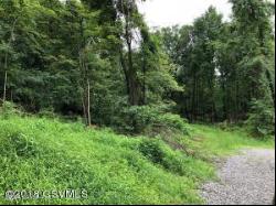 LOT 2 SCOUTING Lane, Lewisburg PA 17837