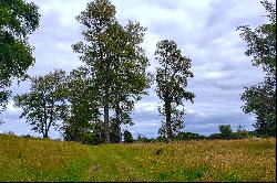 Puyehue Ranch