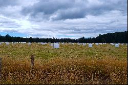 Puyehue Ranch