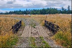 Puyehue Ranch