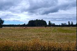 Puyehue Ranch