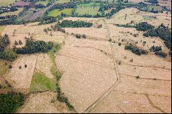 Puyehue Ranch