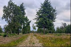 Puyehue Ranch