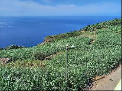 Ponta Do Sol Madeira