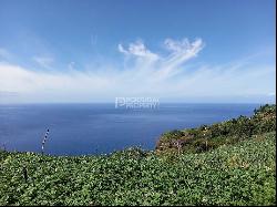 Ponta Do Sol Madeira