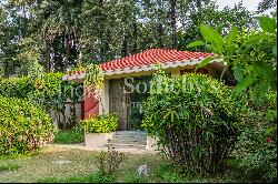 Farmhouse on Radhey Mohan Drive