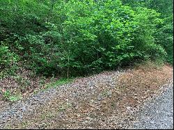 Lot 8 Deep Spring Rd, Sylva NC 28779