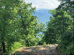 Lot 8 Deep Spring Rd, Sylva NC 28779