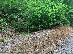 Lot 9 Deep Spring Rd, Sylva NC 28779