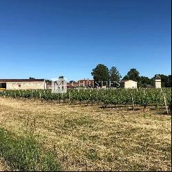 Vineyard estate 21 ha of AOC Médoc vines