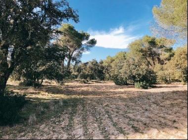 Magnificent plot to invest in Madrid