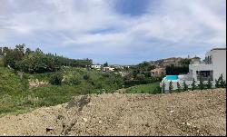 Set of 2 plots with project and license each in Haza del Conde, , Marbella 29660