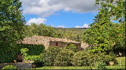 Vineyard, Corbieres, Langeudoc Roussillon