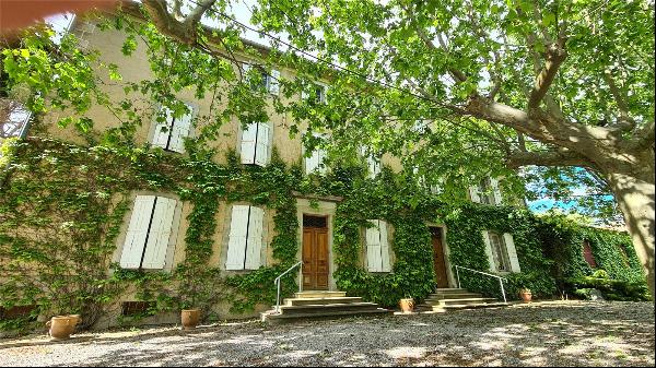 Vineyard, Corbieres, Langeudoc Roussillon