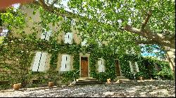 Vineyard, Corbieres, Langeudoc Roussillon