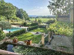 Vineyard, Luberon