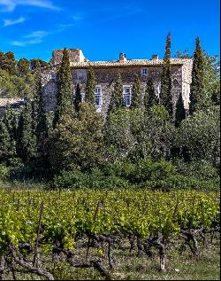 Vineyard, AOP Coteaux D'Aix En Provence