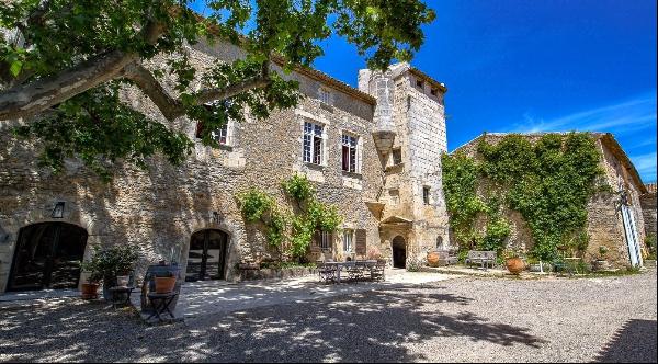 Vineyard, AOP Coteaux D'Aix En Provence