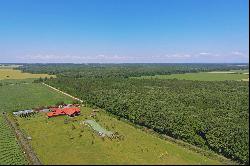 THE RANCH IN THE PROXIMITY OF BUCHAREST