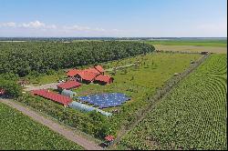 THE RANCH IN THE PROXIMITY OF BUCHAREST