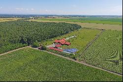 THE RANCH IN THE PROXIMITY OF BUCHAREST