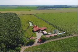 THE RANCH IN THE PROXIMITY OF BUCHAREST