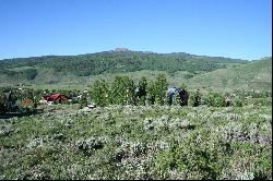 Exceptional Homesite on Zeligman Street at Crested Butte South