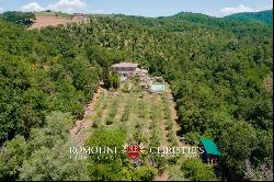 Chianti Classico - RESTORED COUNTRY HOUSE WITH POOL FOR SALE IN GAIOLE, TUSCANY