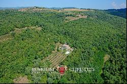 Chianti Classico - RESTORED COUNTRY HOUSE WITH POOL FOR SALE IN GAIOLE, TUSCANY