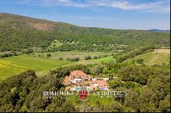 Tuscany - RESORT WITH WELLNESS CENTER FOR SALE IN MAREMMA, TUSCANY