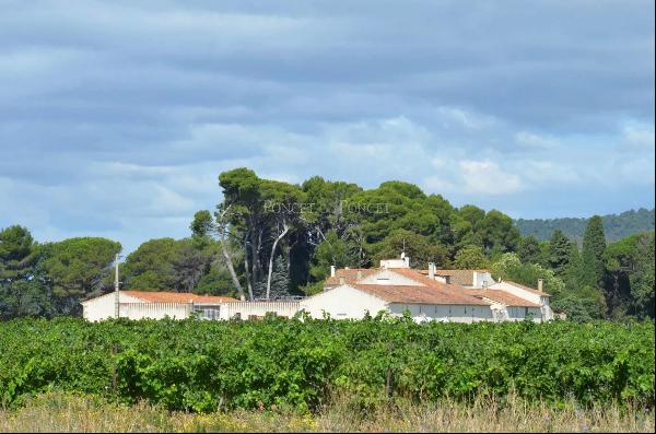 PROPERTY of character in Aude, on the edge of the Canal du midi 10 ha with irrigated vines