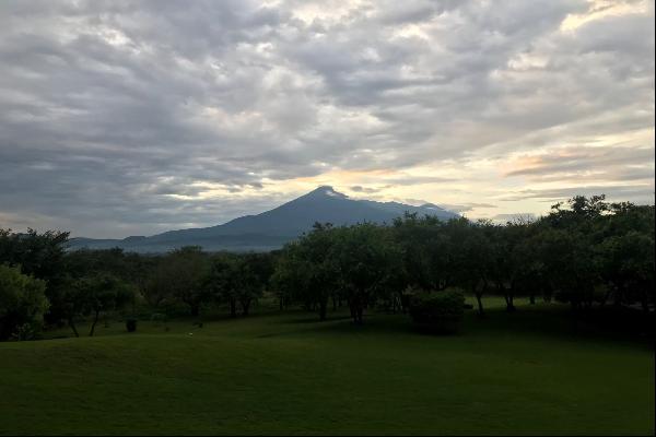 Dolly Estate, Tanzania