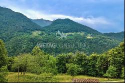 Capriasca-Bidogno: 2'503 m² of building plot for sale