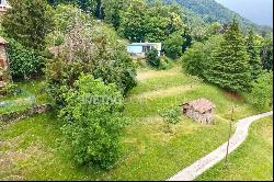 Capriasca-Bidogno: 2'503 m² of building plot for sale