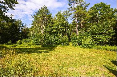 142876 square feet Land in Chester, Vermont
