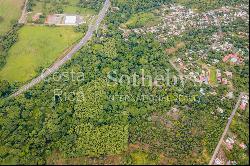 Finca Para Desarrollo En Coyolar