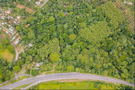 Finca Para Desarrollo En Coyolar