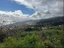 Calheta Madeira