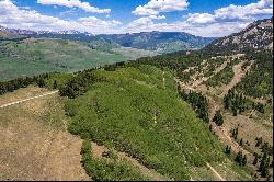 E40 Prospect, Mt. Crested Butte, CO, 81225