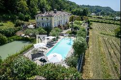 Sale Chateau in Bordeaux. Hobby Vineyard