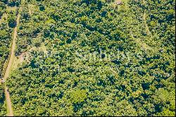 Carara National Park Views Parcel