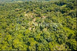 Carara National Park Views Parcel