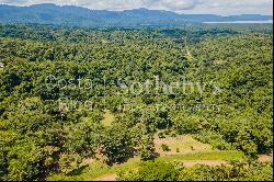 Carara National Park Views Parcel