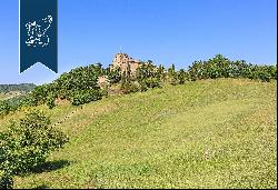 Castle of great historical prestige in a stunning high position overlooking Emilia Romagna