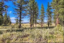 Lot in Desirable Lahontan