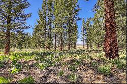 Lot in Desirable Lahontan