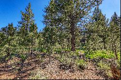 Lot in Desirable Lahontan