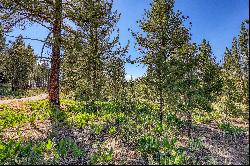 Lot in Desirable Lahontan