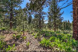 Lot in Desirable Lahontan